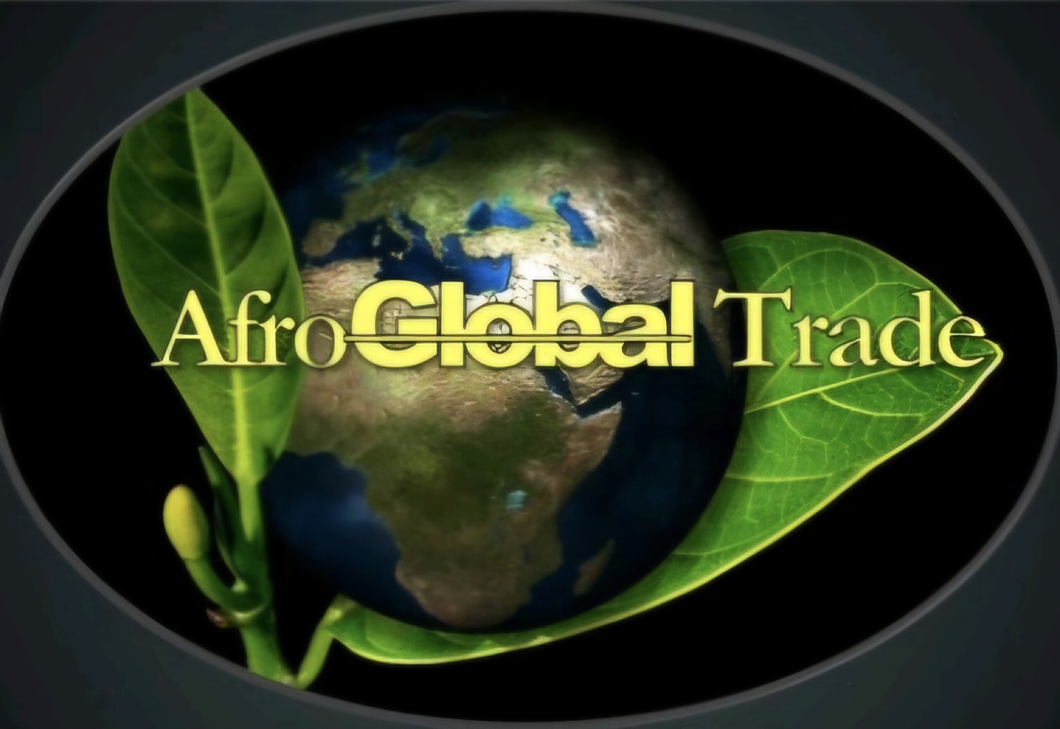 Company logo image - Afroglobal Trade LTD