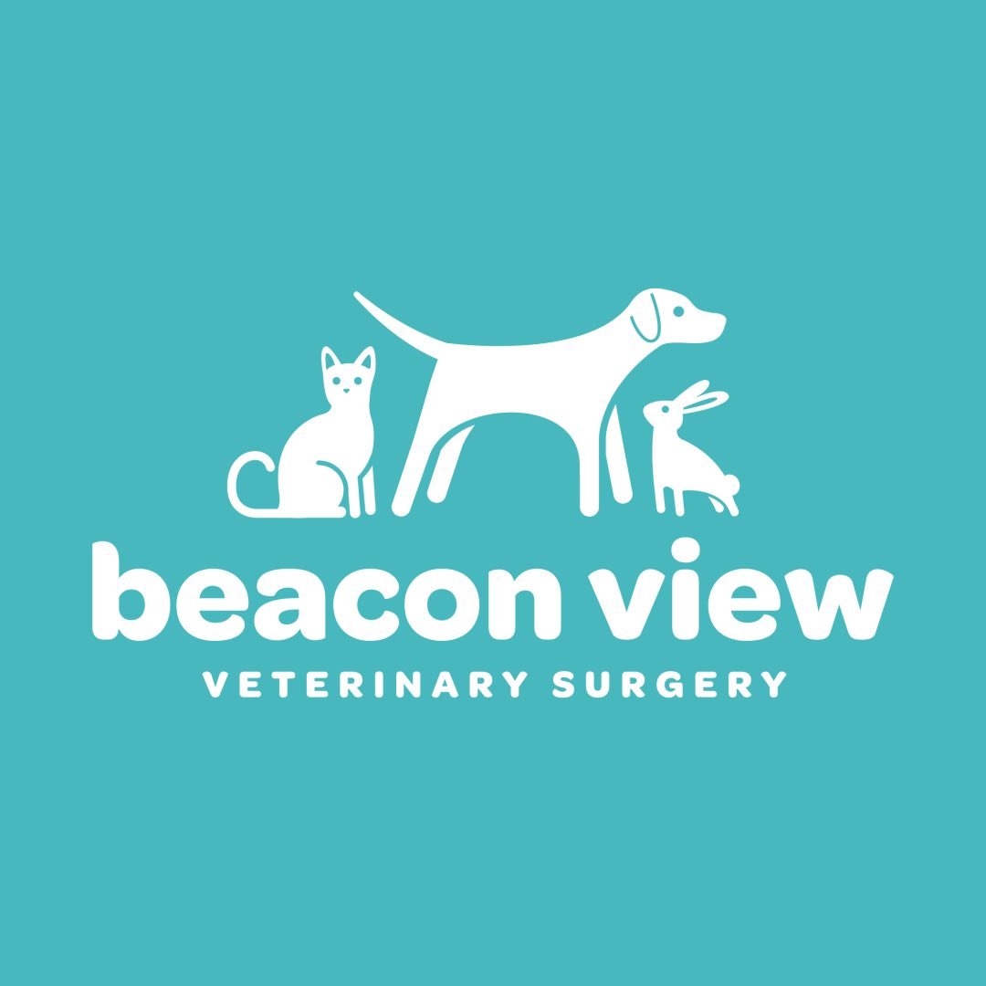 Company logo image - Beacon View Vets Limited