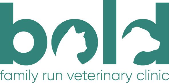 Company logo image - Bold veterinary clinic