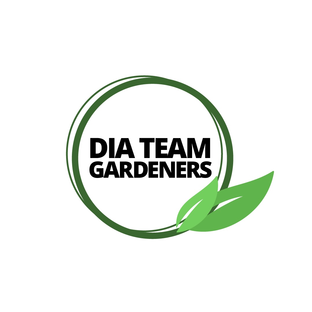 Company logo image - DIA Team Ltd