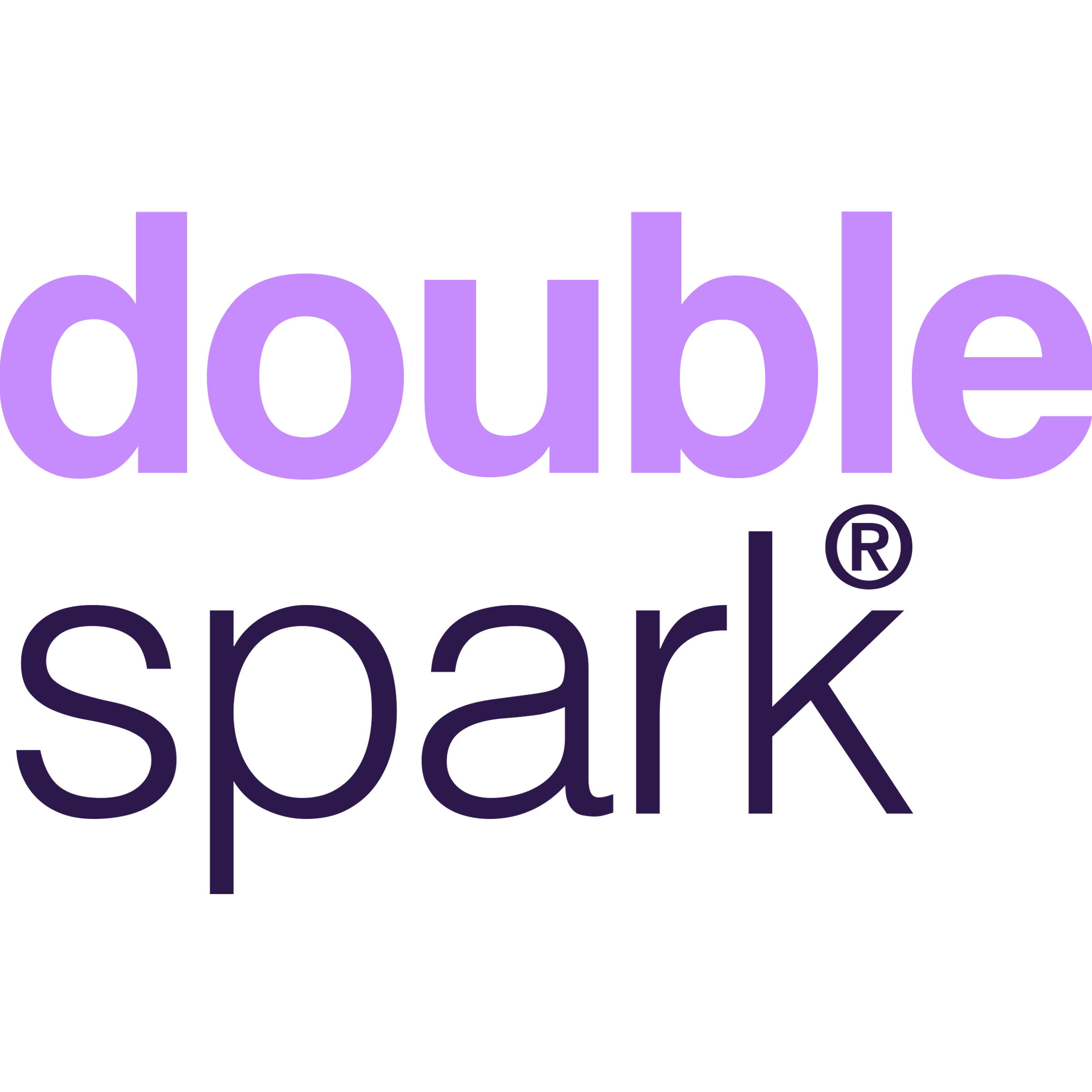 Company logo image - Double Spark Internet Marketing