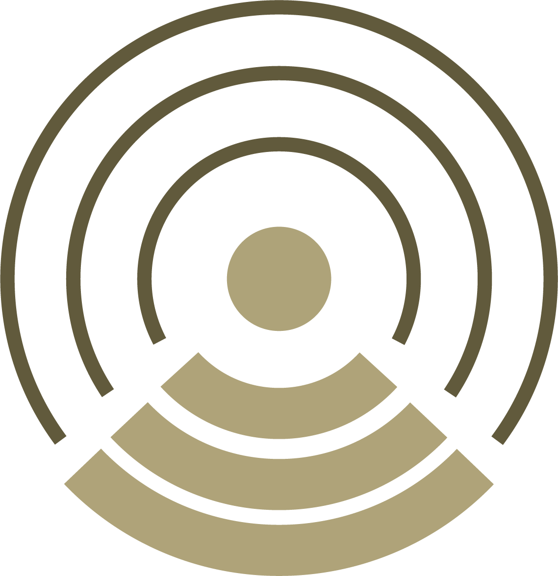 Company logo image - Eye Revolution Ltd