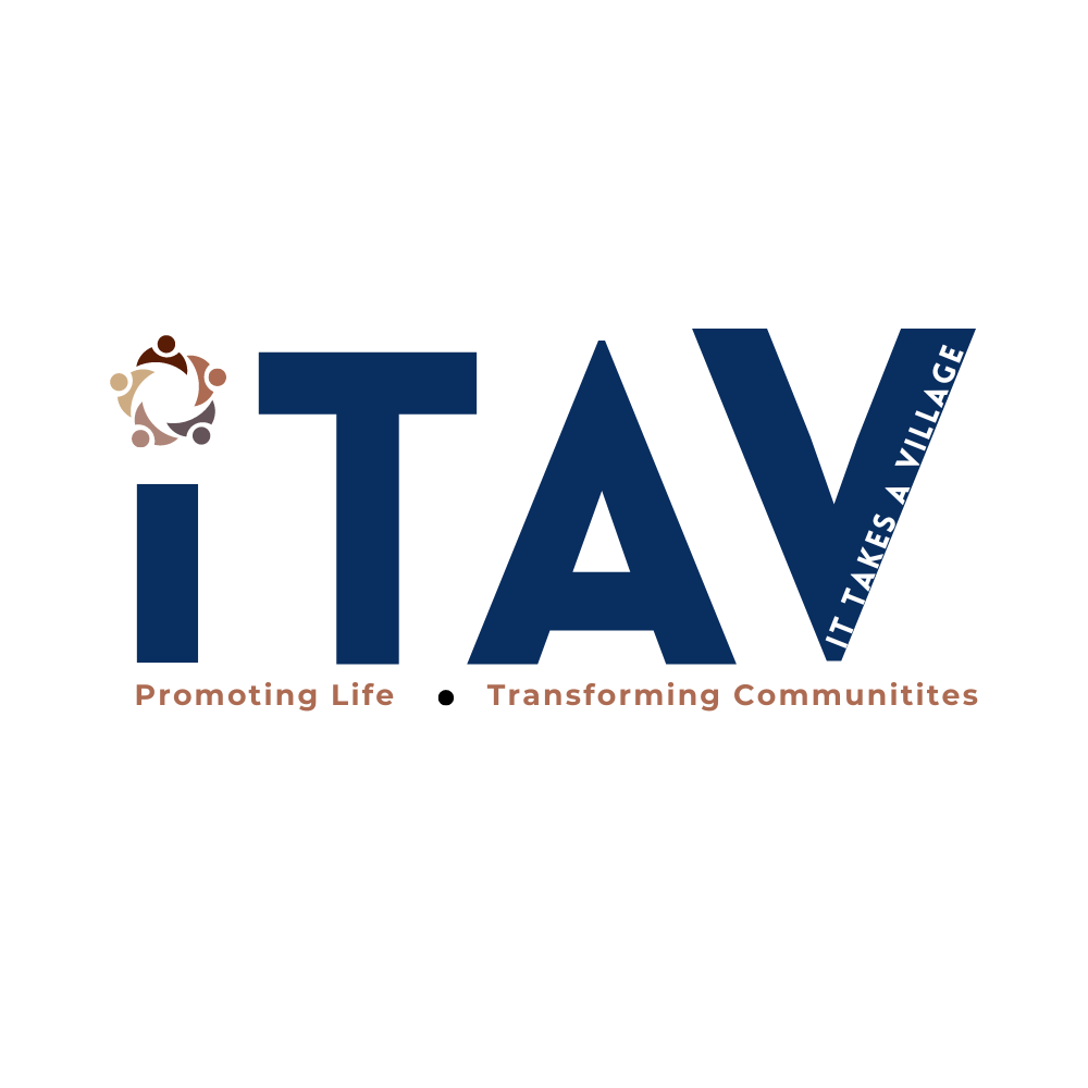 Company logo image - ITAV Global Ltd