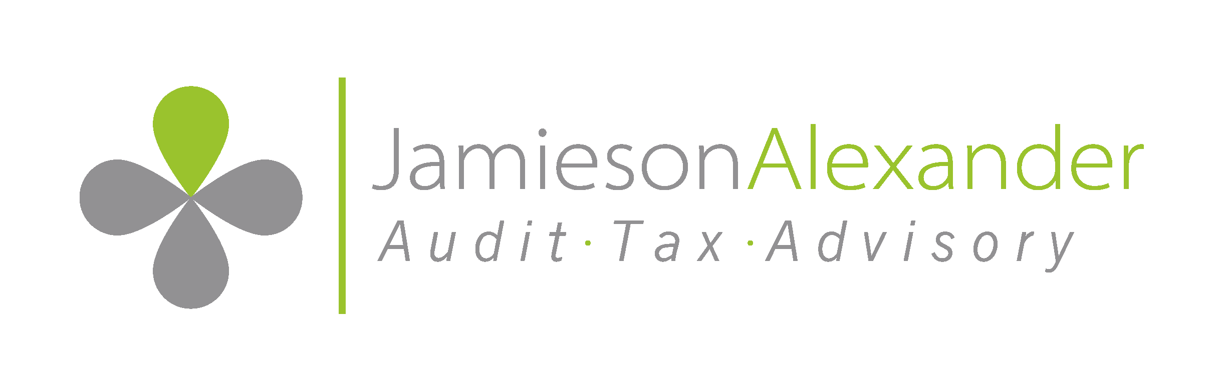 Company logo image - Jamieson Alexander Audit Limited