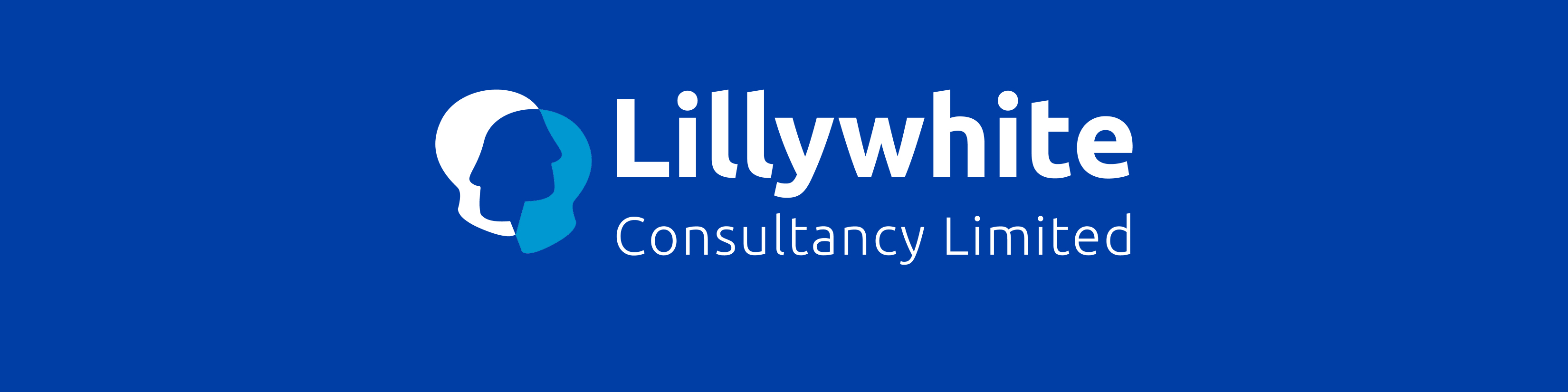 Company logo image - Lillywhite Consultancy Limited