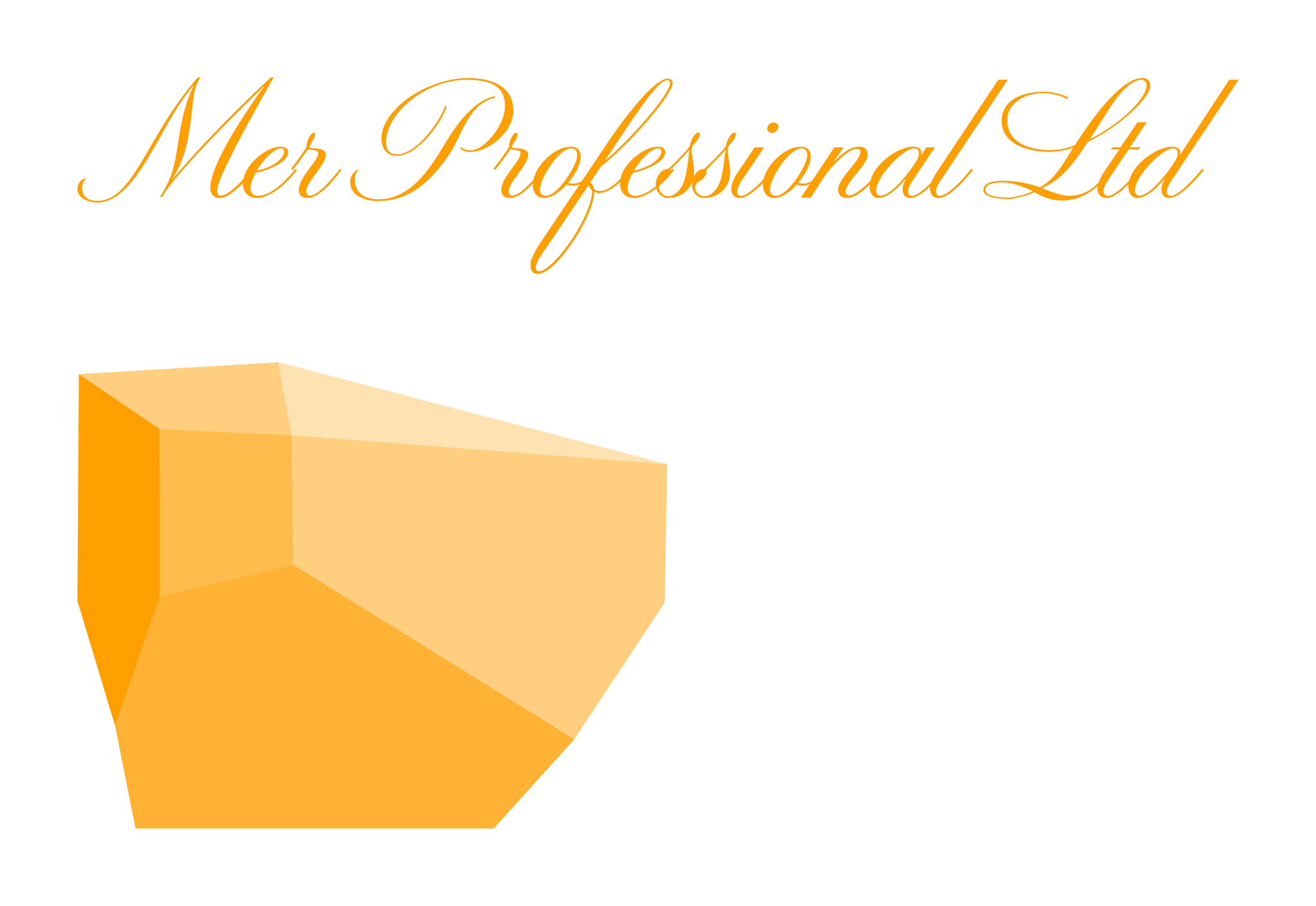 Company logo image - Mer Professional ltd