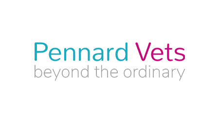 Company logo image - Pennard Practice Ltd