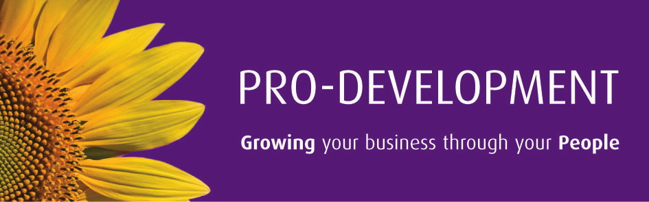 Company logo image - Pro-Development (UK) Limited