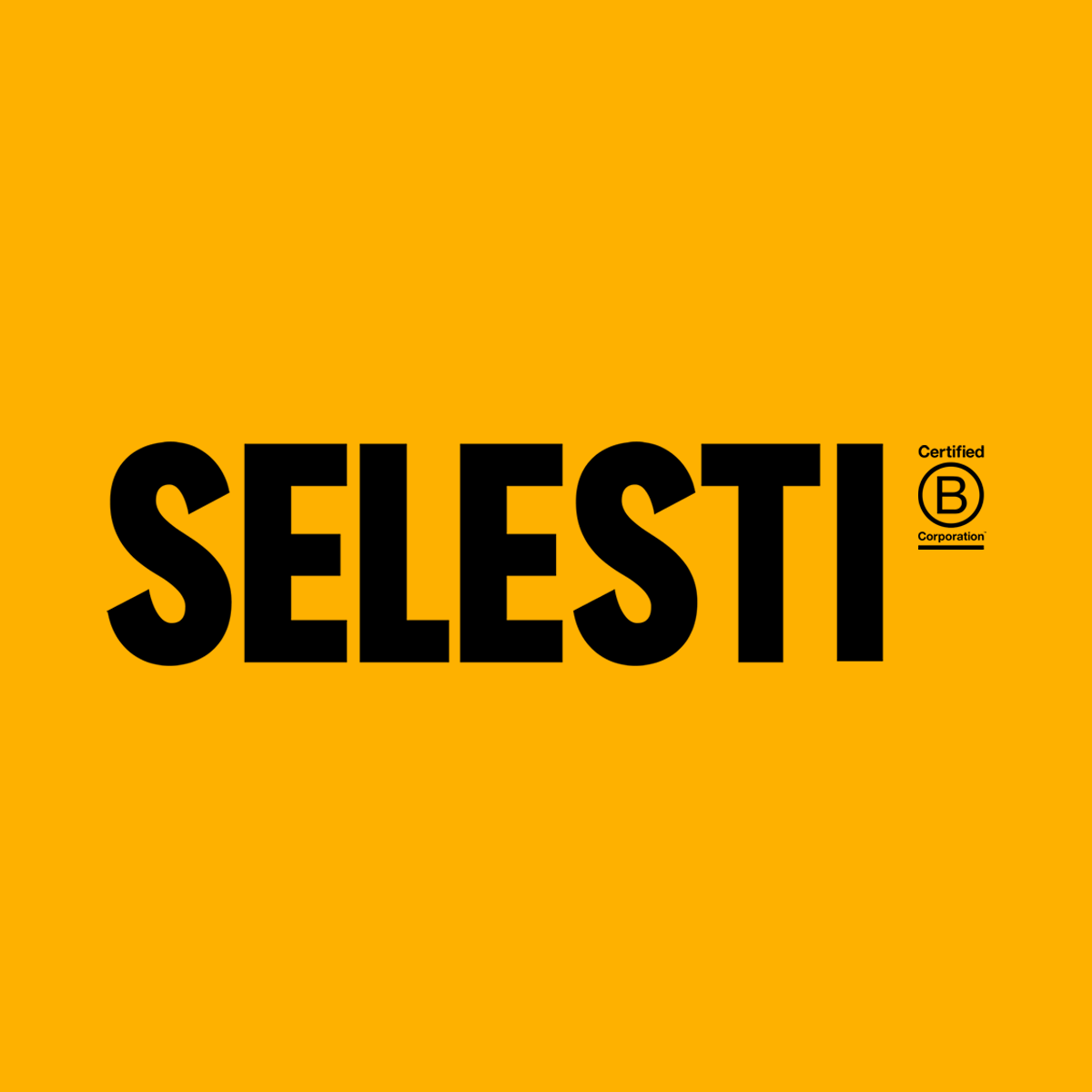 Company logo image - Selesti