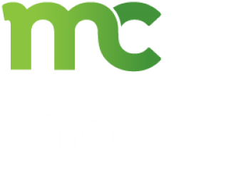 Company logo image - The Mangold Consultancy Limited