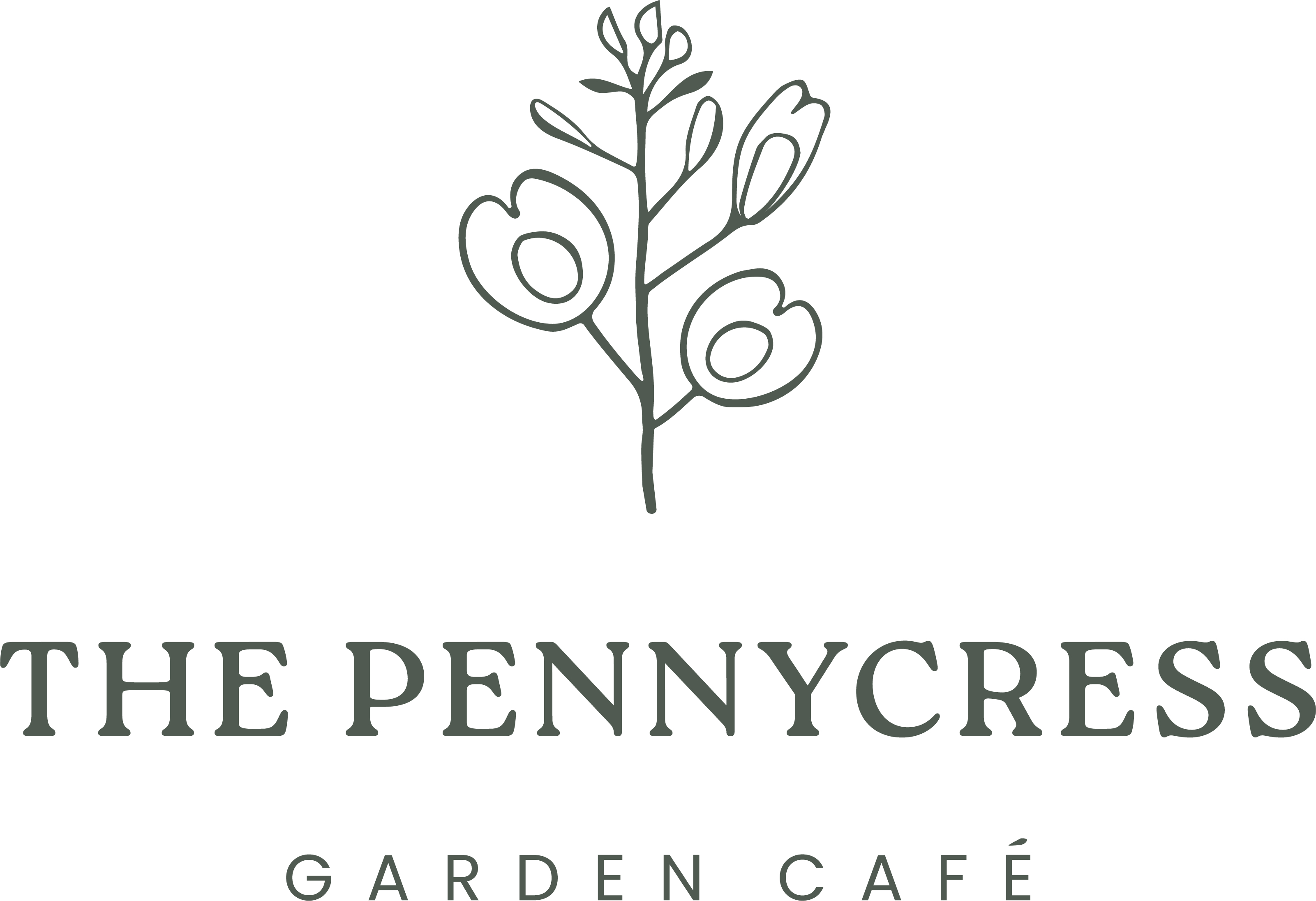 Company logo image - The Pennycress