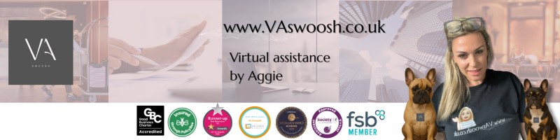 Company logo image - VA Swoosh